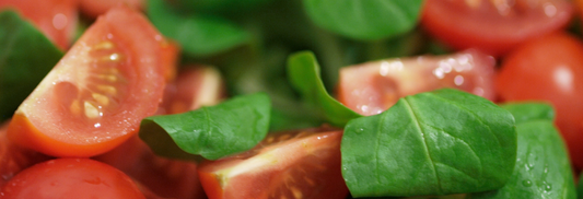Eat up! Nutrition for cycling events