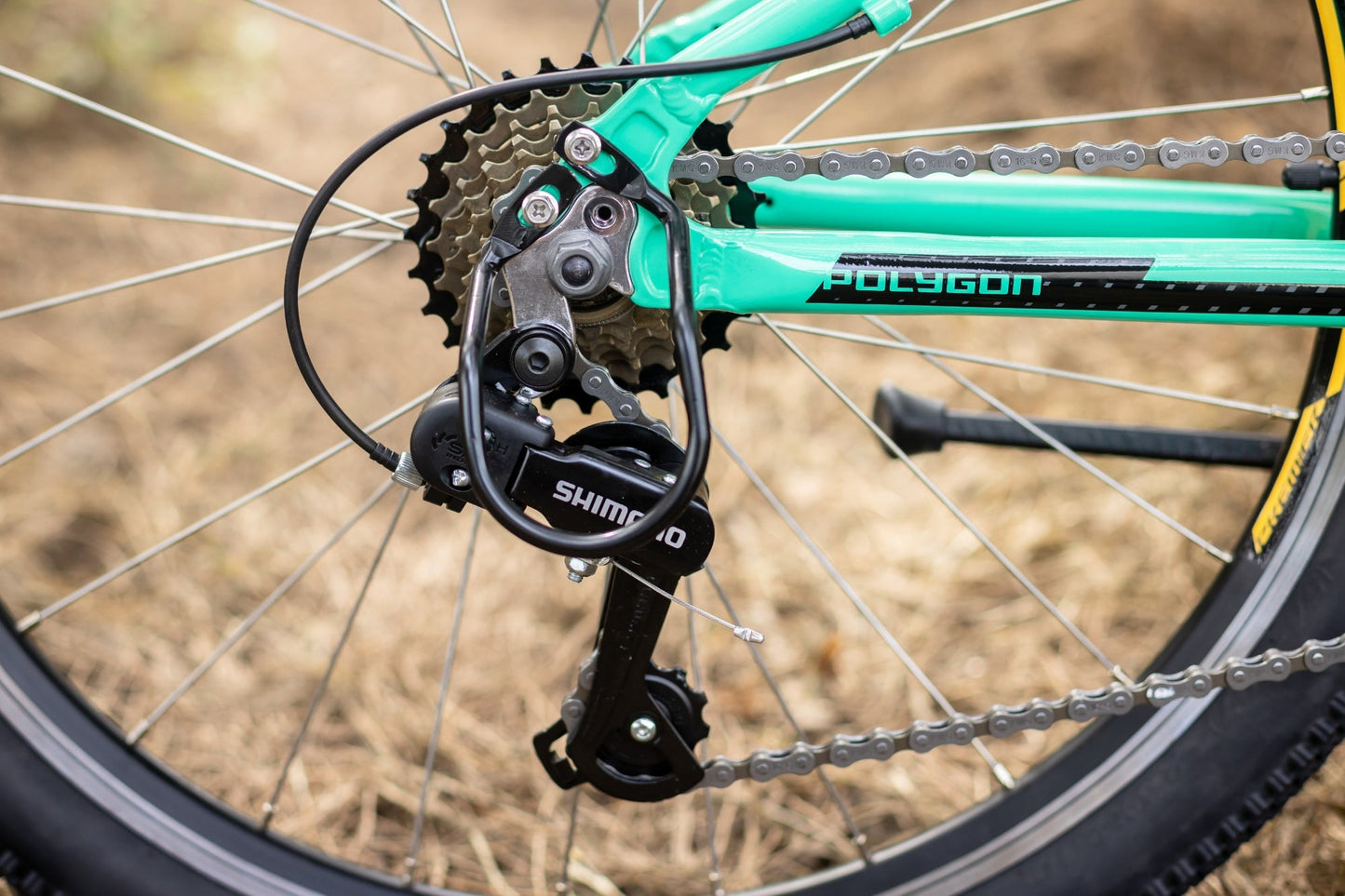 Polygon Premier 24 XC Kids Mountain Bike - Mint