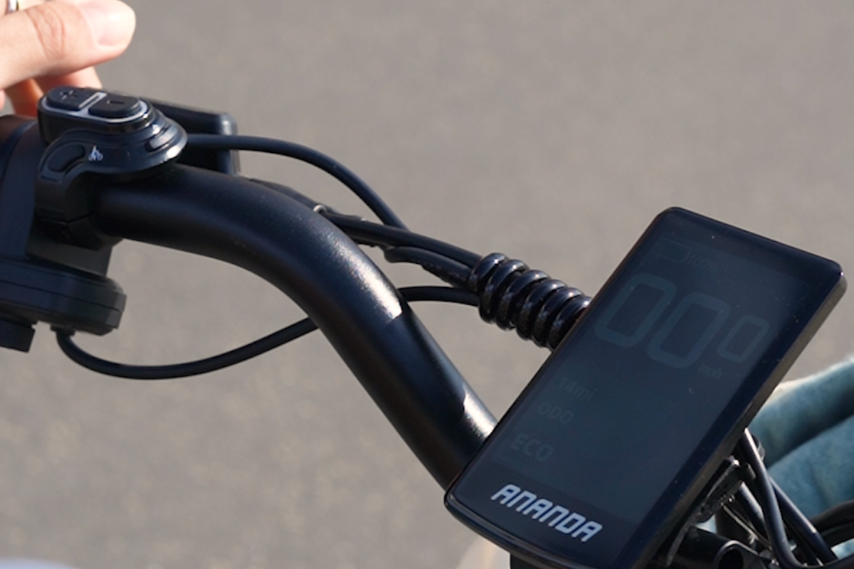 Reid 2095 Urban Cargo eBike