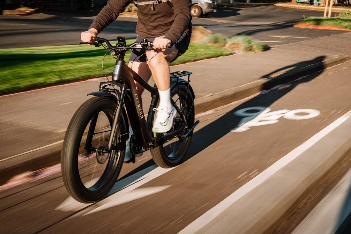 Aventon Aventure 3 - Off-Road Fat eBike
