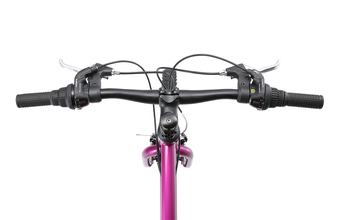 Original MTB WSD