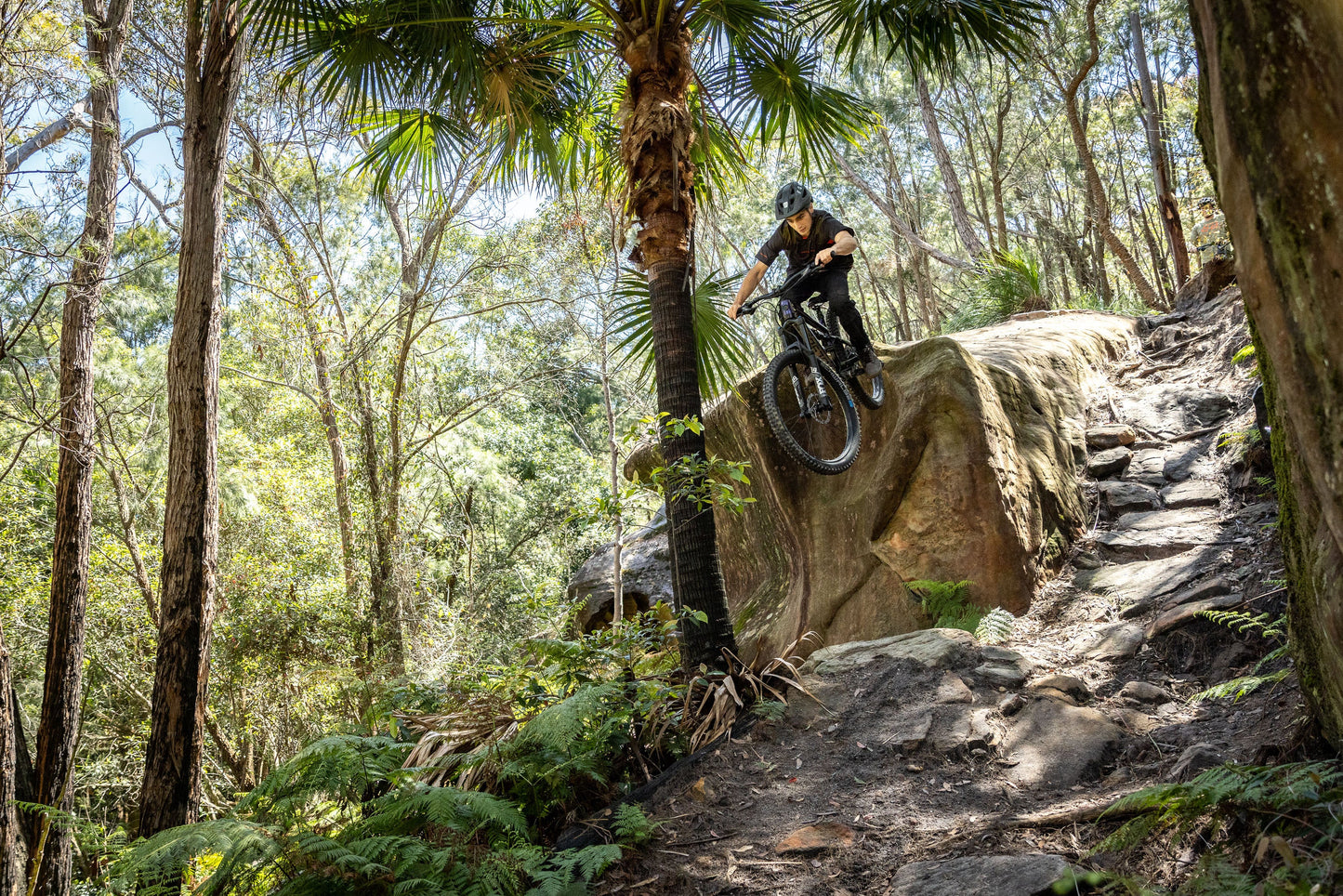 Polygon Siskiu T8 - Mountain Bike