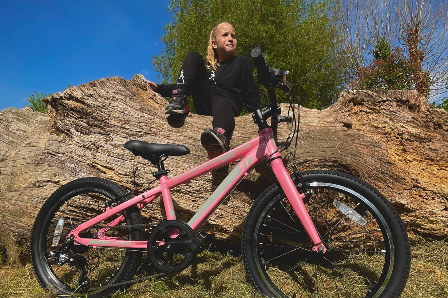 Viper 20" Kids Bike Pink