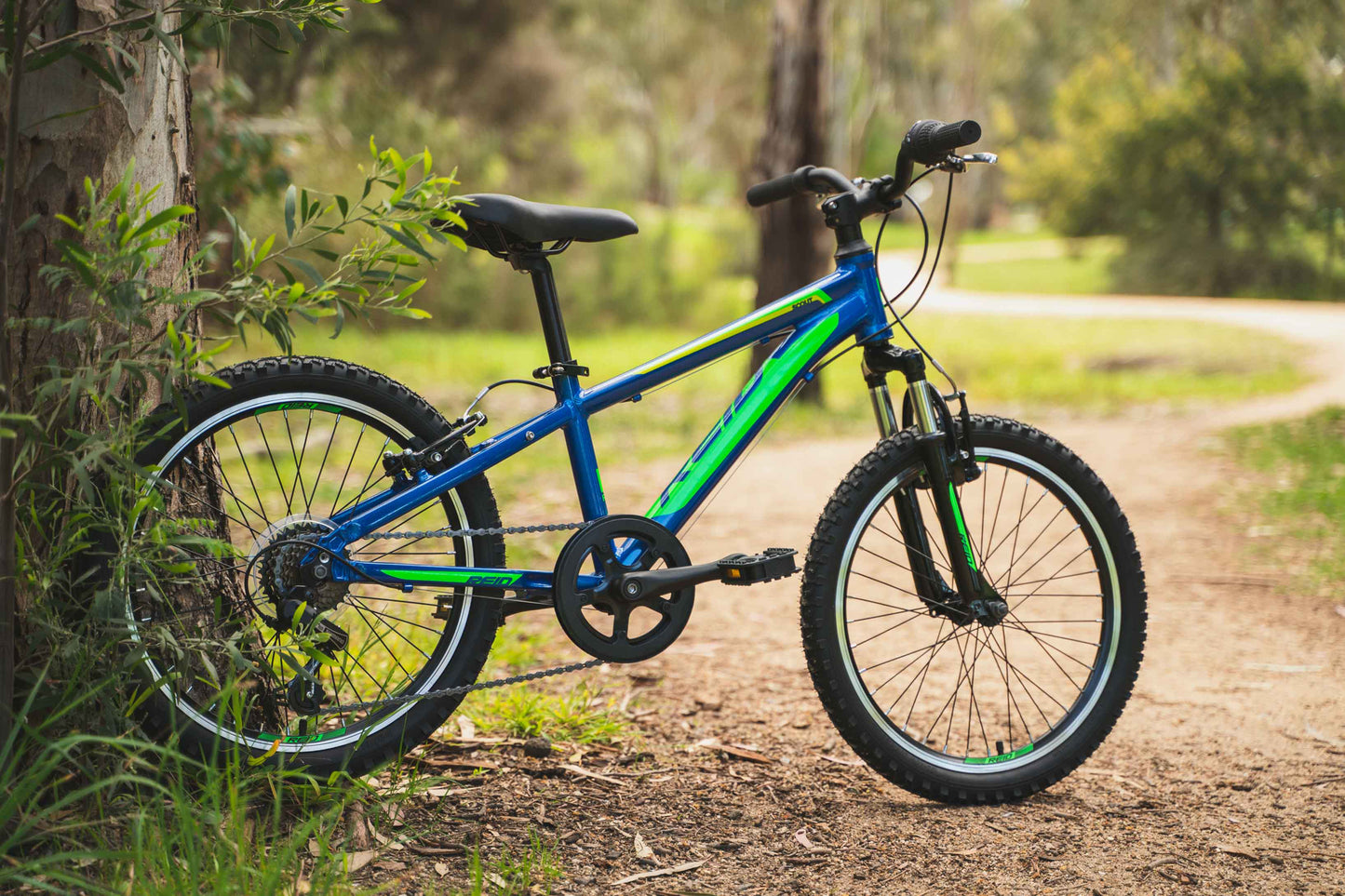 Scout 20" Kids Bike Blue Green