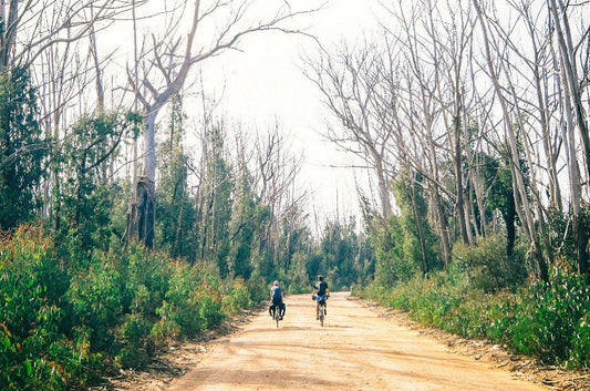 Essential Gear For Bikepacking Adventures