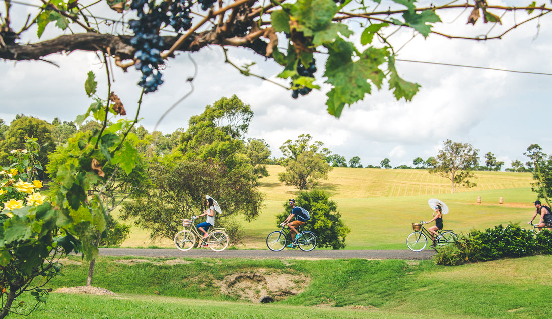Bike-proof picnics (no more soggy sandwiches)