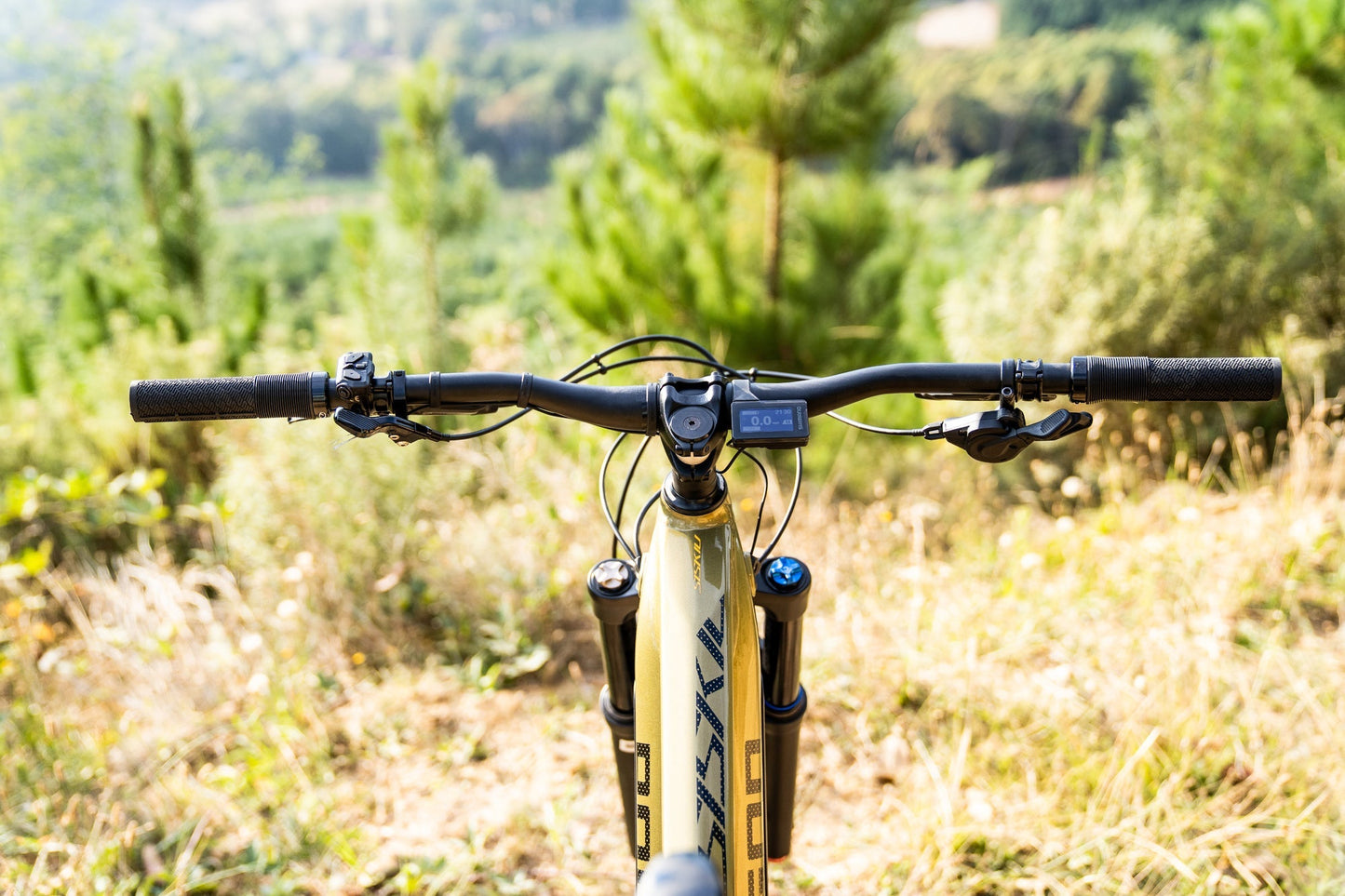 Polygon Siskiu T7E - Electric Mountain Bike