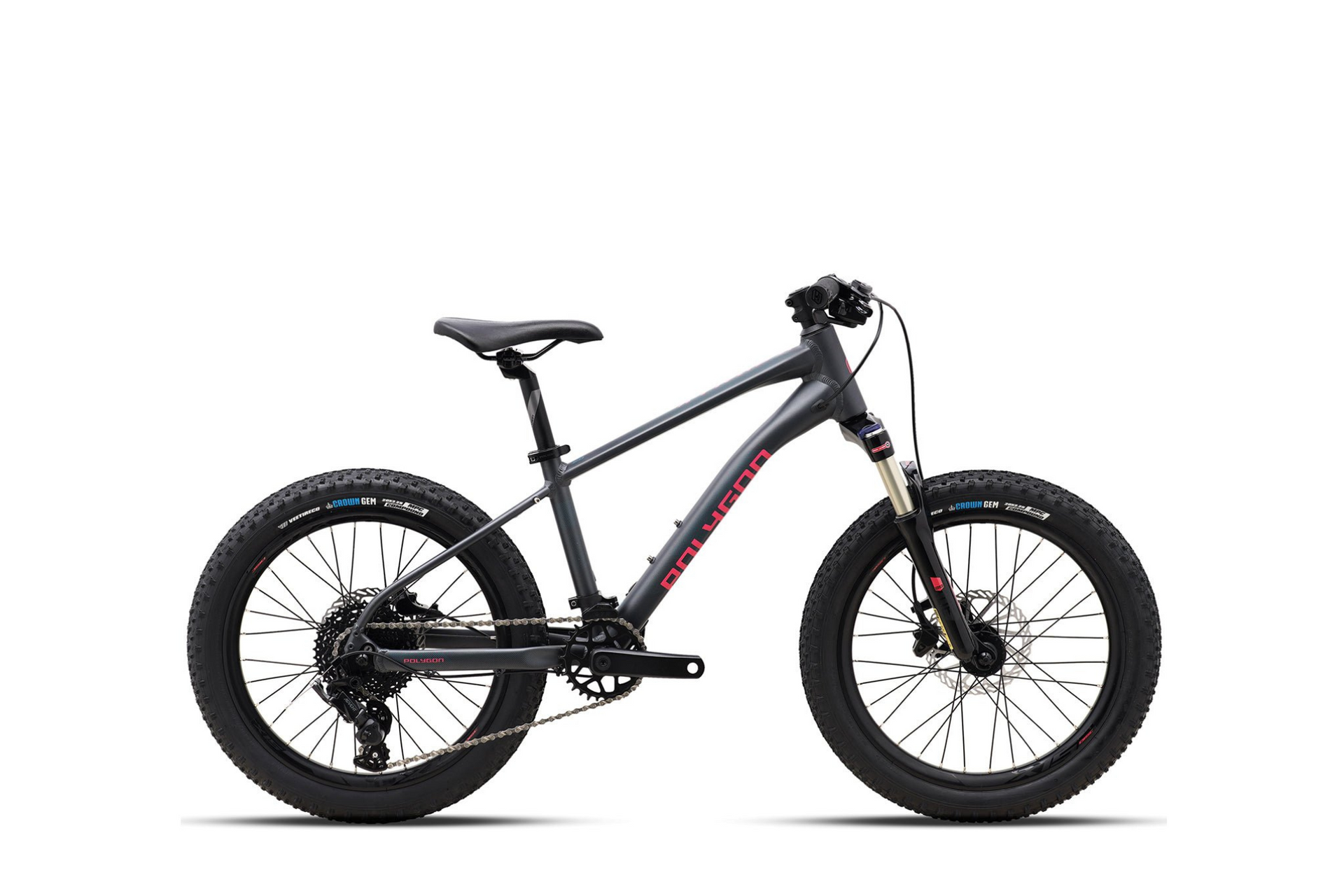Polygon Xtrada 20 Kids Mountain Bike – Reid Cycles