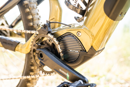 Polygon Siskiu T7E - Electric Mountain Bike