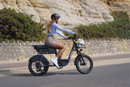 Reid 2095 Urban Cargo eBike