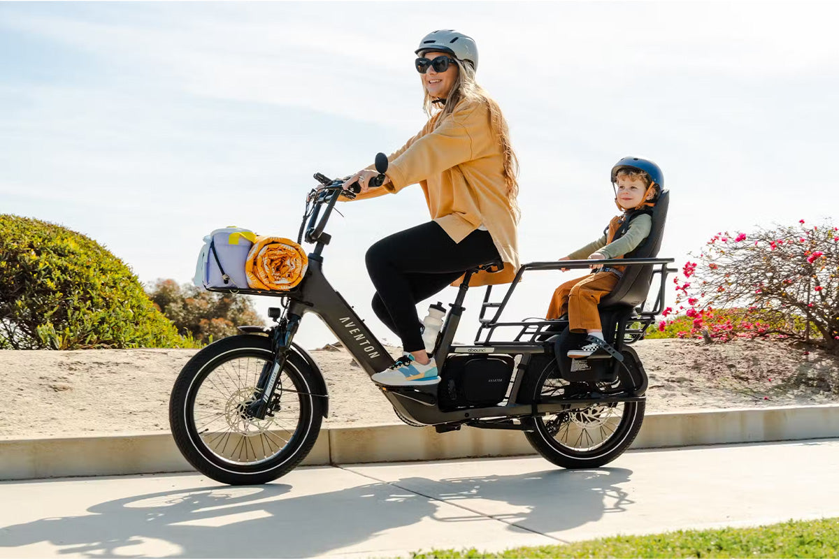 Aventon Abound LR - Full-Size Cargo eBike