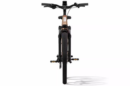 Aventon Level 3 ST - Step-Through Commuter eBike