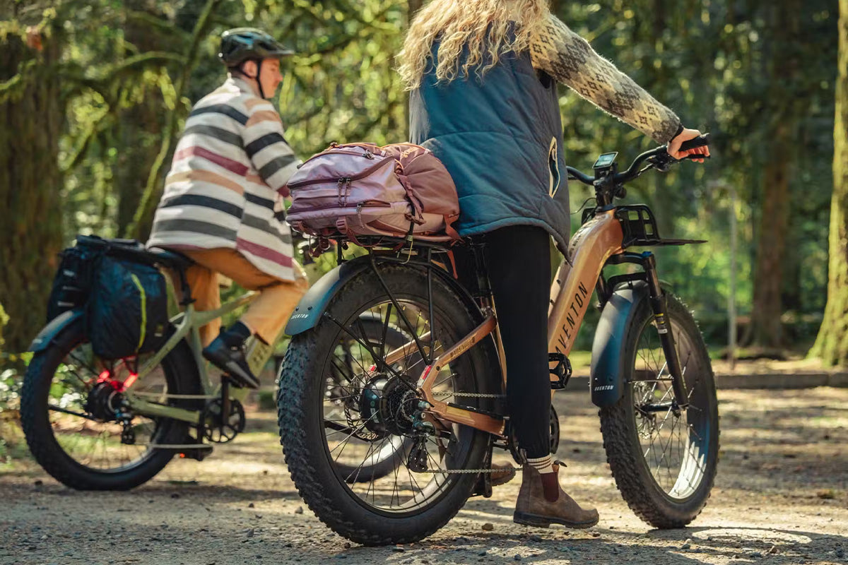 Aventon Aventure 3 ST - Step-Through Off-Road eBike