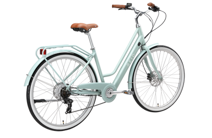 Classic Vintage eBike Sage