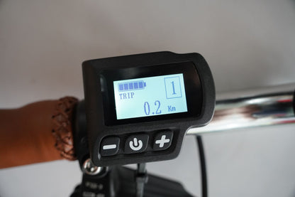 Ex-Demo: Classic Vintage eBike Black - S2 SMALL