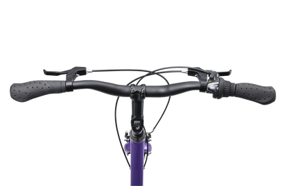 Comfort ST (Step-Through) Commuter Bike