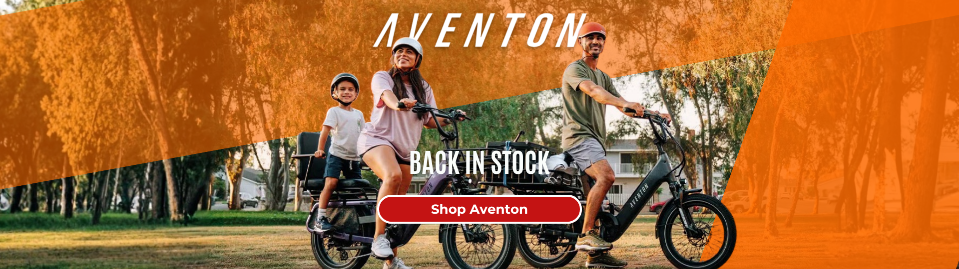 custom-slideshow-image-desktop-block_AUH7XG