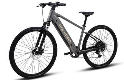 Polygon Kalosi Miles - Urban eBike