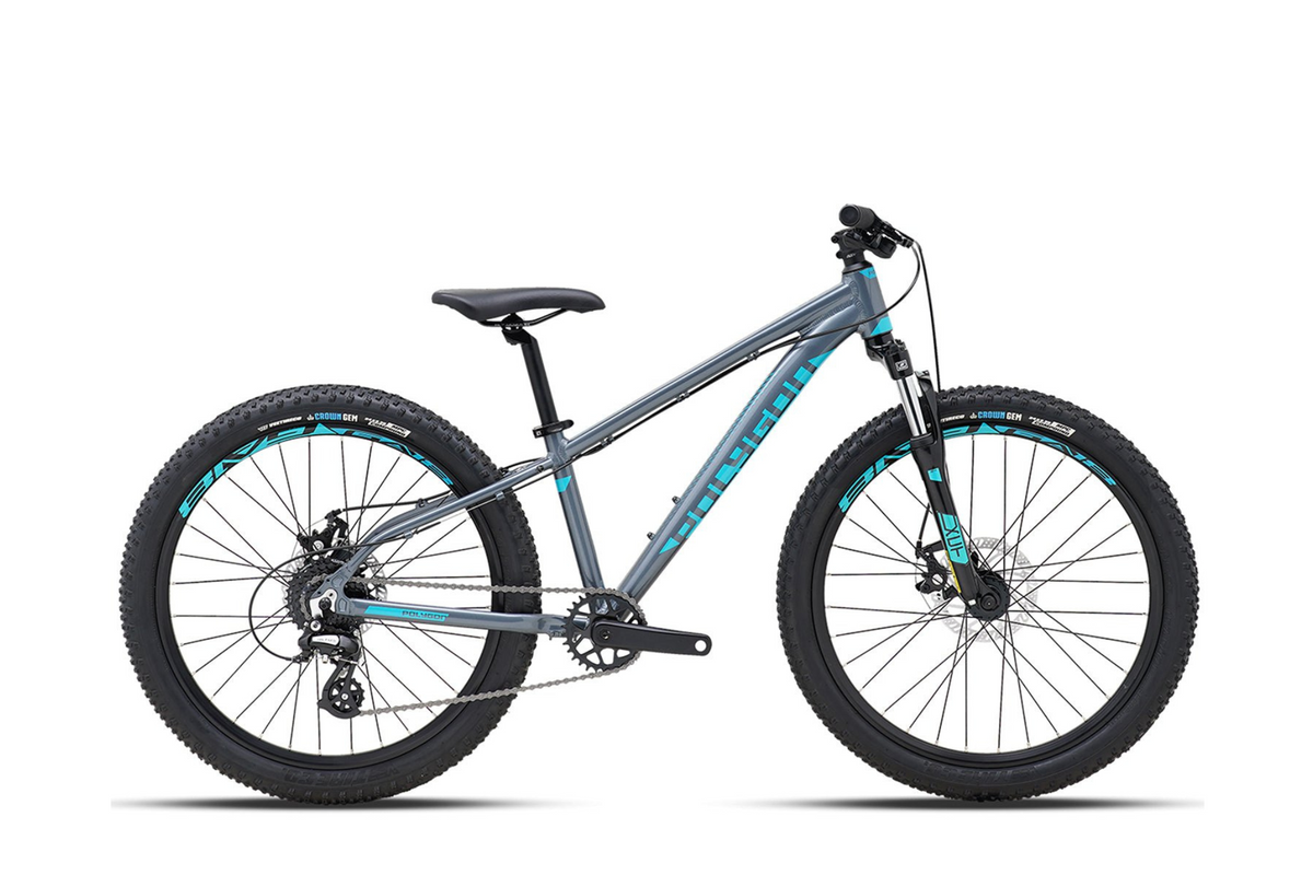 Polygon Premier 24