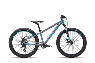 Polygon Premier 24