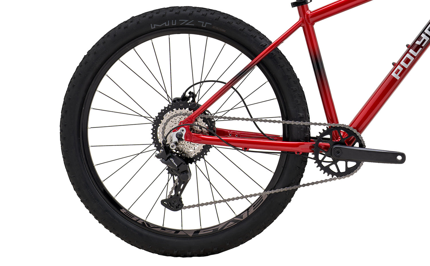 Polygon Cascade 3 - Mountain Bike MY26 | Reid Cycles Australia