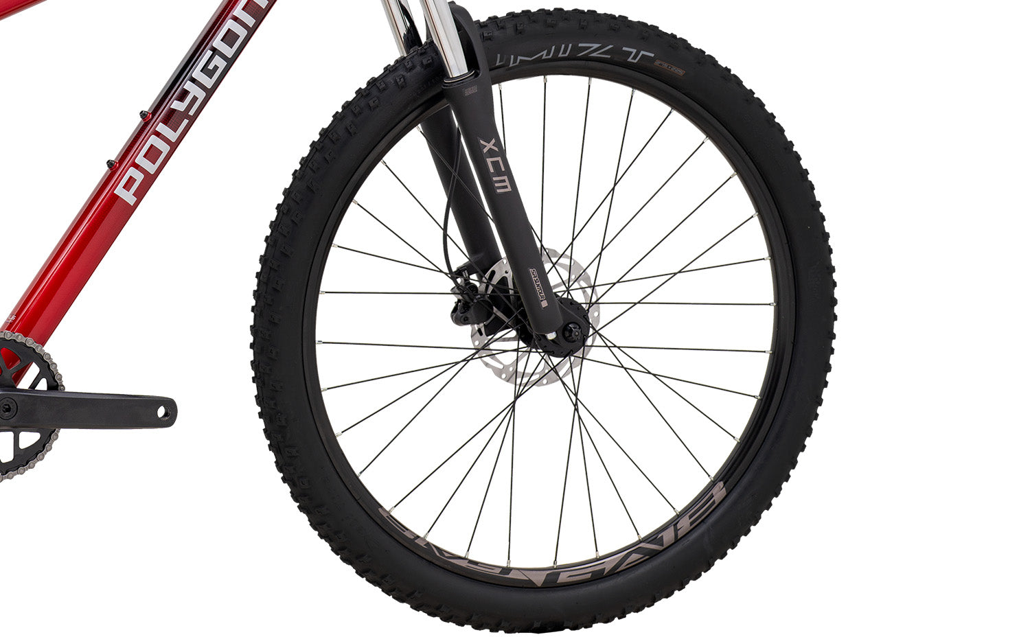 Polygon Cascade 3 - Mountain Bike MY26 | Reid Cycles Australia