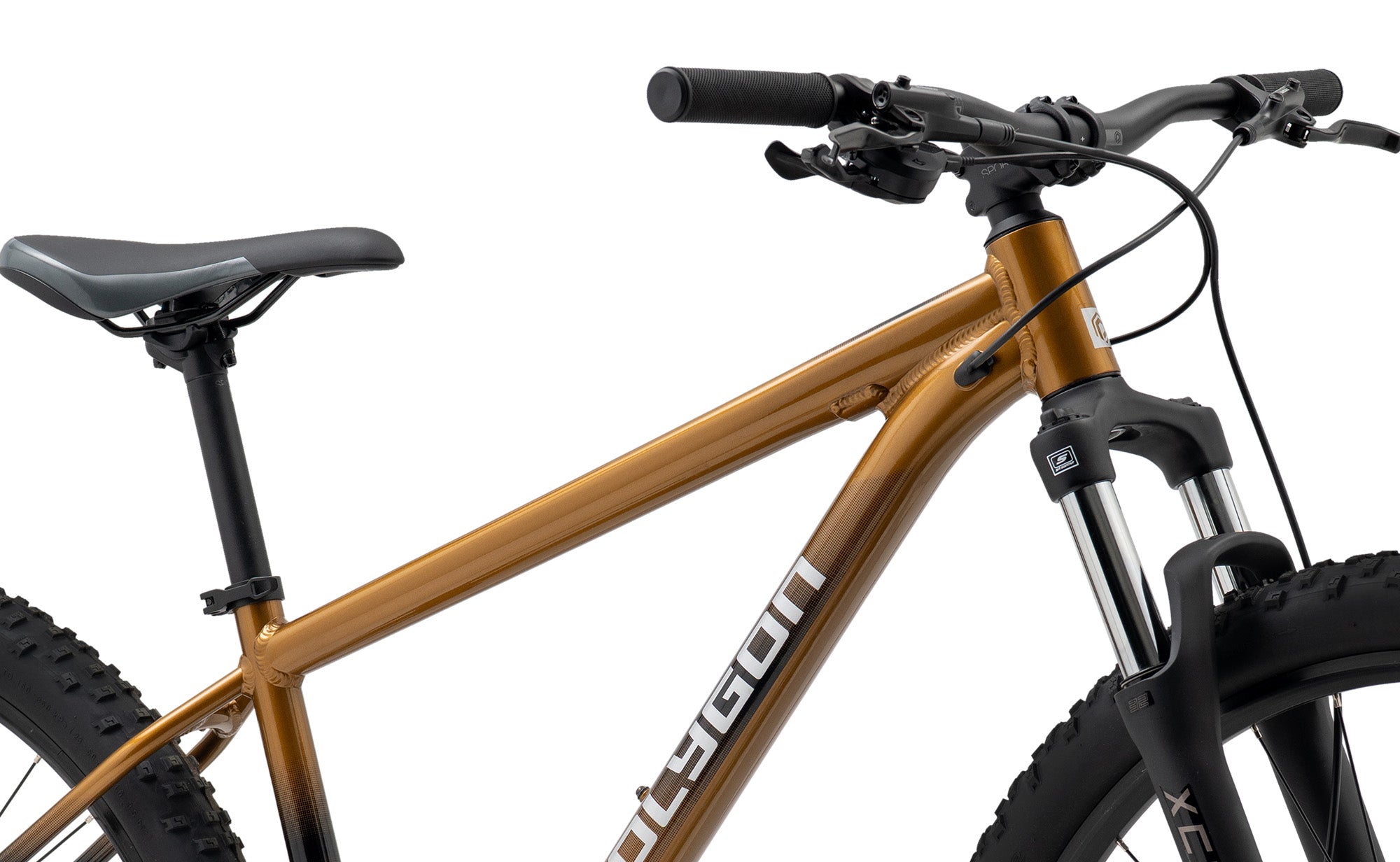 Polygon Cascade 5 - Mountain Bike MY26 | Reid Cycles Australia