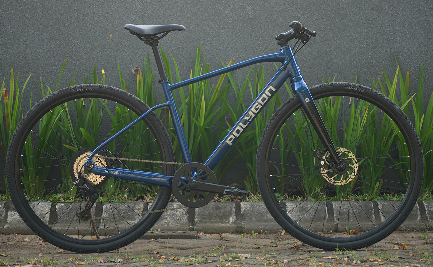 Polygon Path 2 - Urban City Bike