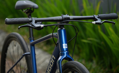 Polygon Path 2 - Urban City Bike