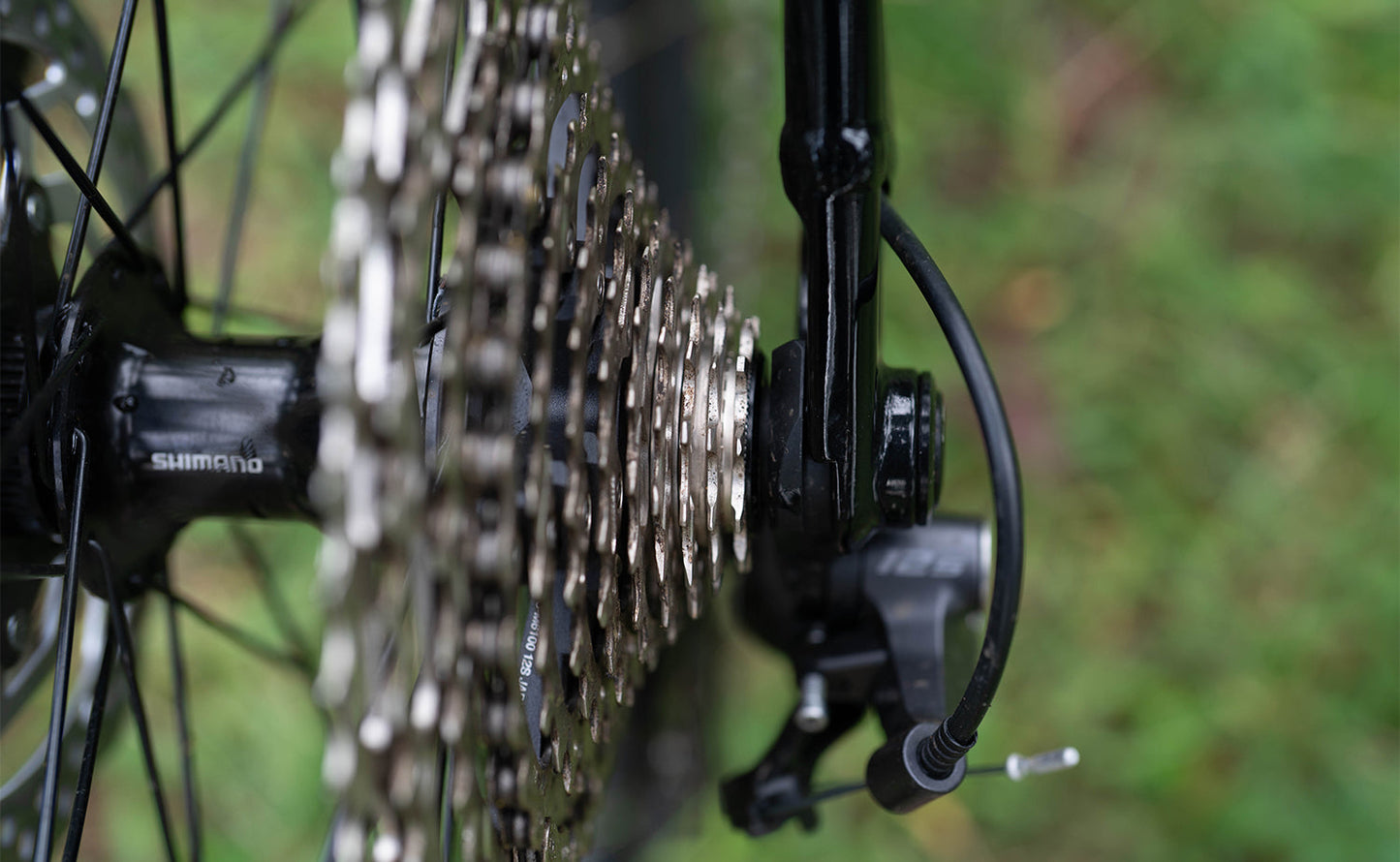 Polygon Xtrada 6 - Mountain Bike