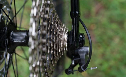 Polygon Xtrada 6 - Mountain Bike