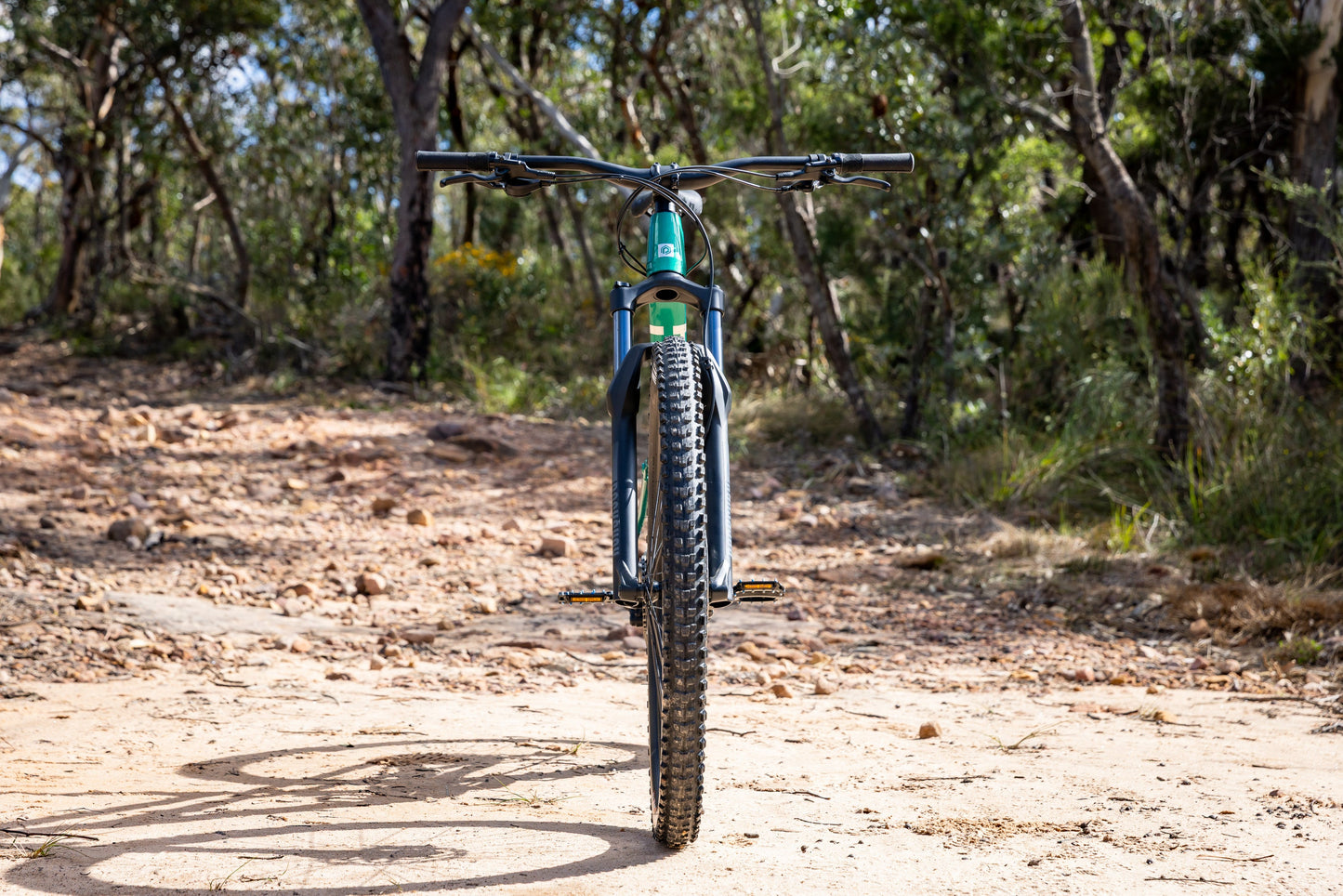 Polygon Siskiu T6 - Mountain Bike MY26