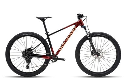 Polygon Xtrada 5 - Mountain Bike