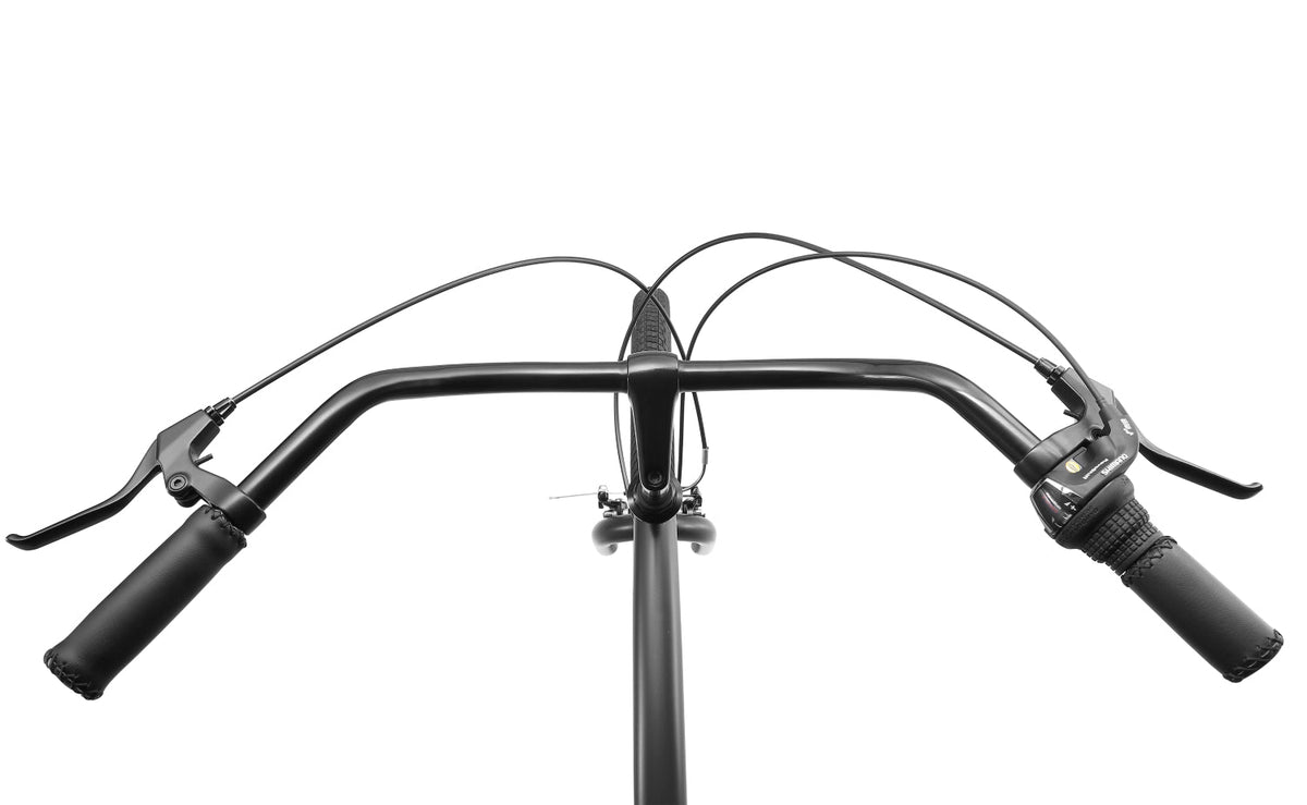 Reid Gents Cruiser — Vintage Bike