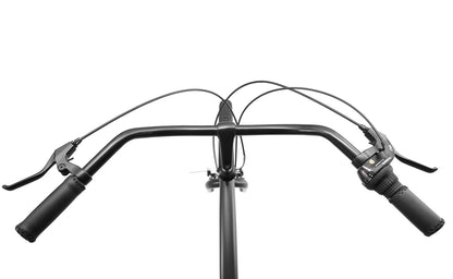 Reid Gents Cruiser — Vintage Bike