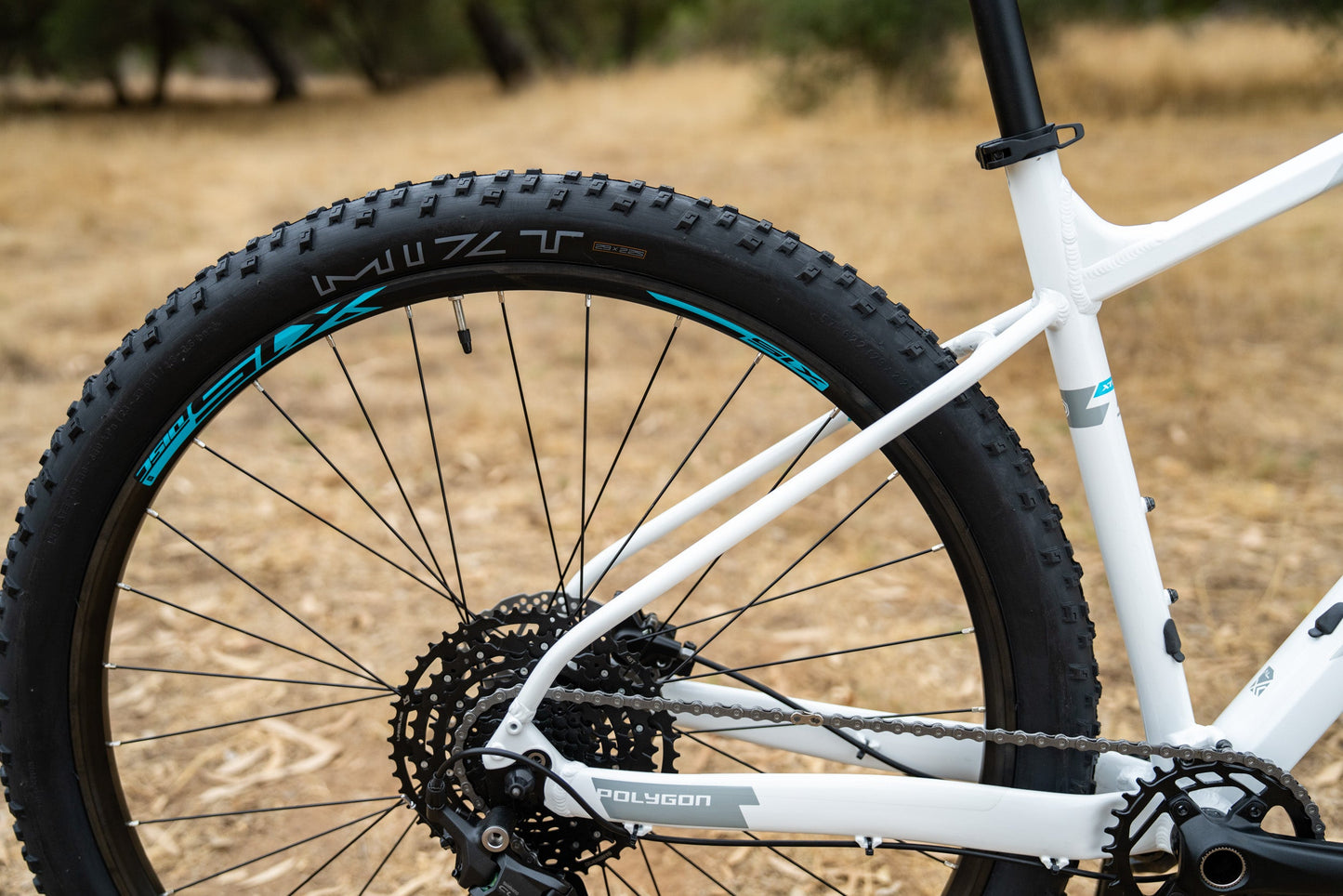 Polygon Xtrada 5 - Mountain Bike