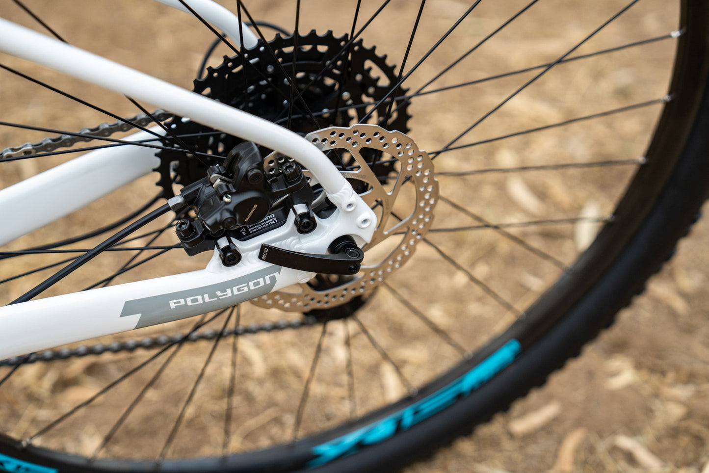 Polygon Xtrada 5 - Mountain Bike