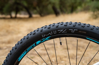 Polygon Xtrada 5 - Mountain Bike