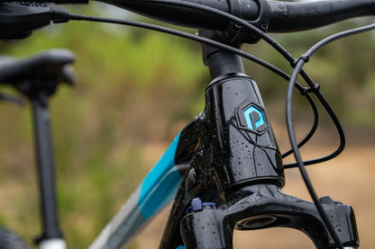 Polygon Xtrada 5 - Mountain Bike