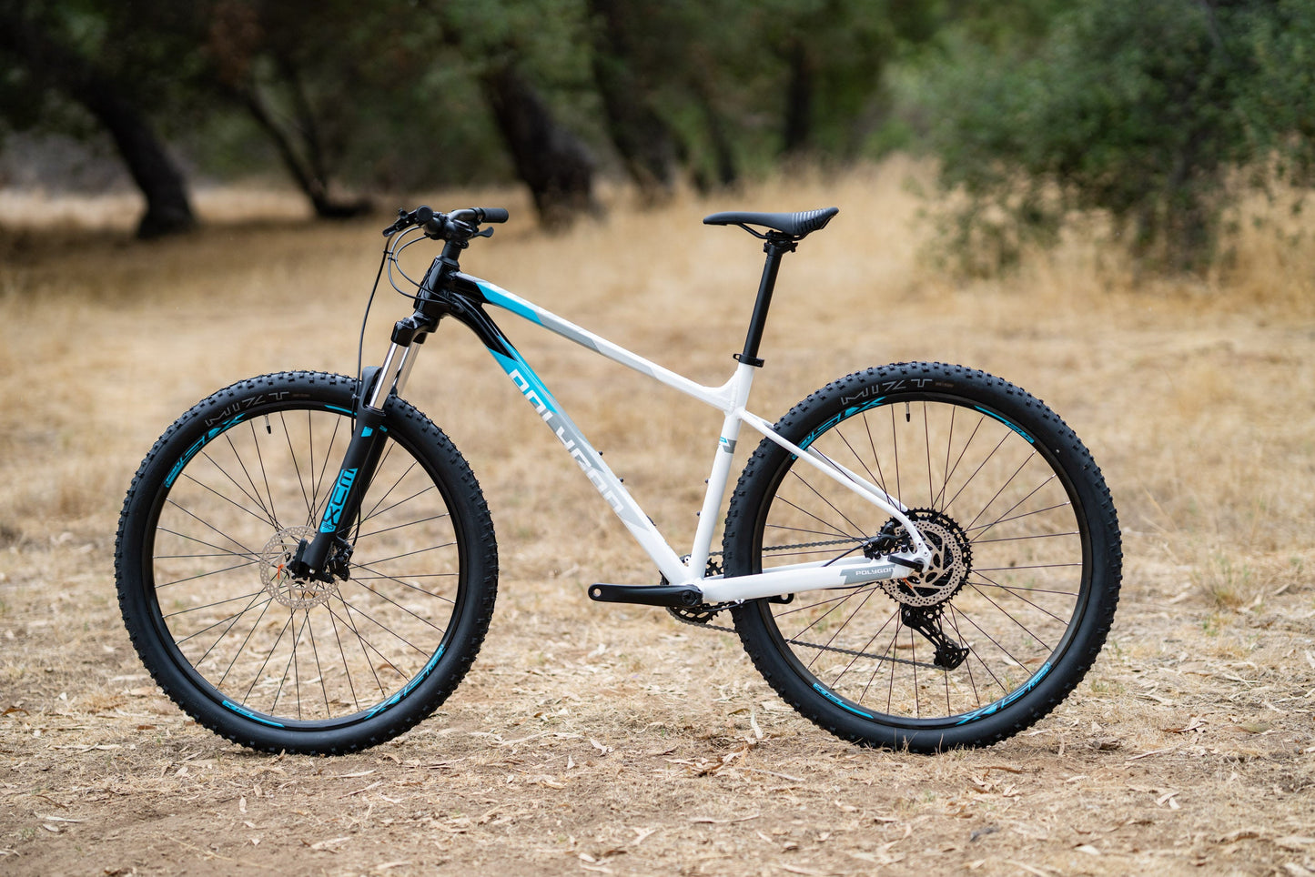 Polygon Xtrada 5 - Mountain Bike