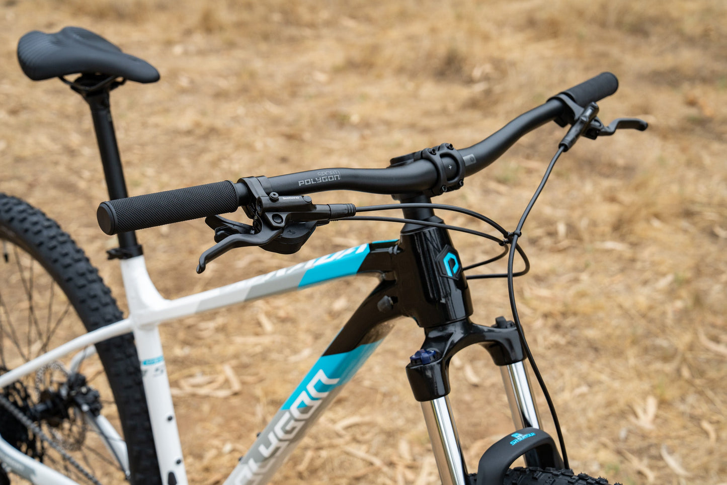 Polygon Xtrada 5 - Mountain Bike