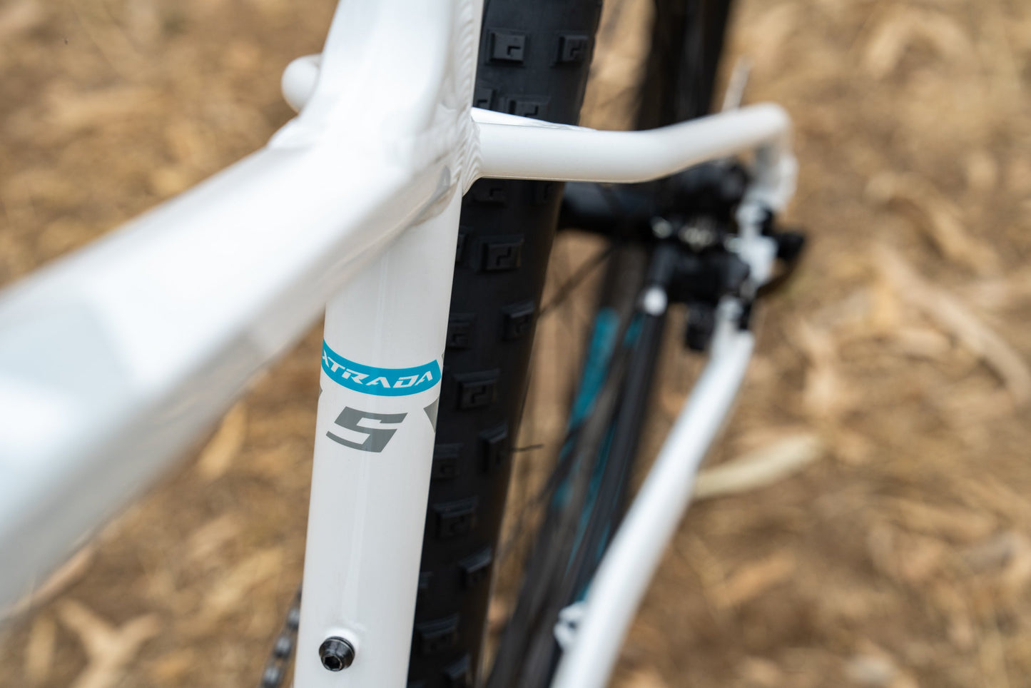 Polygon Xtrada 5 - Mountain Bike