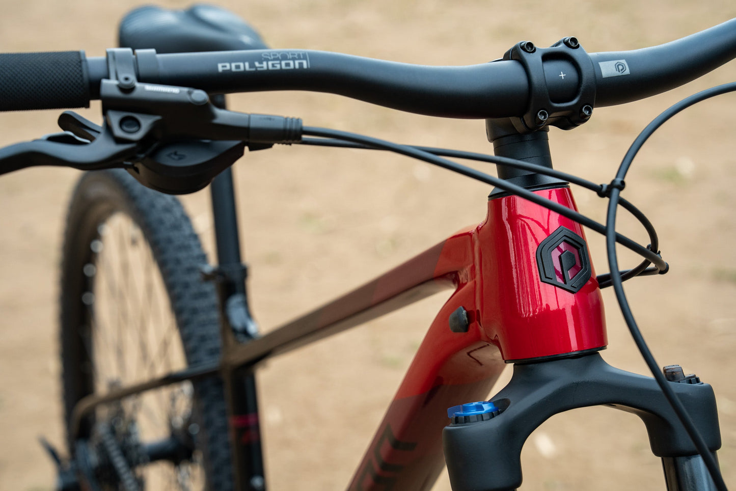 Polygon Xtrada 6 - Mountain Bike