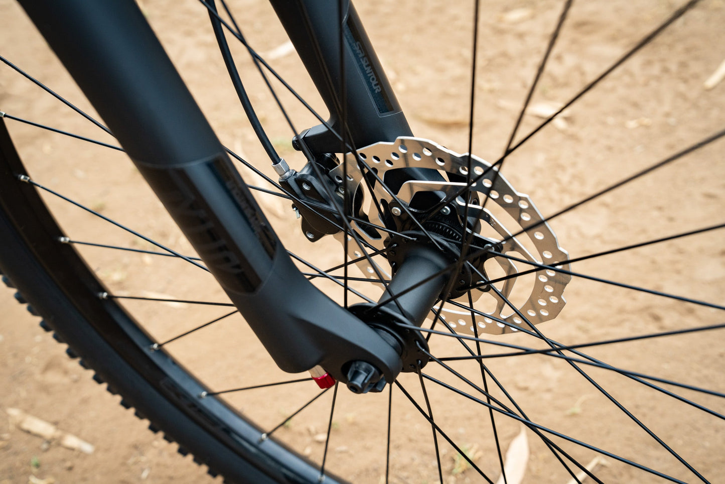 Polygon Xtrada 6 - Mountain Bike