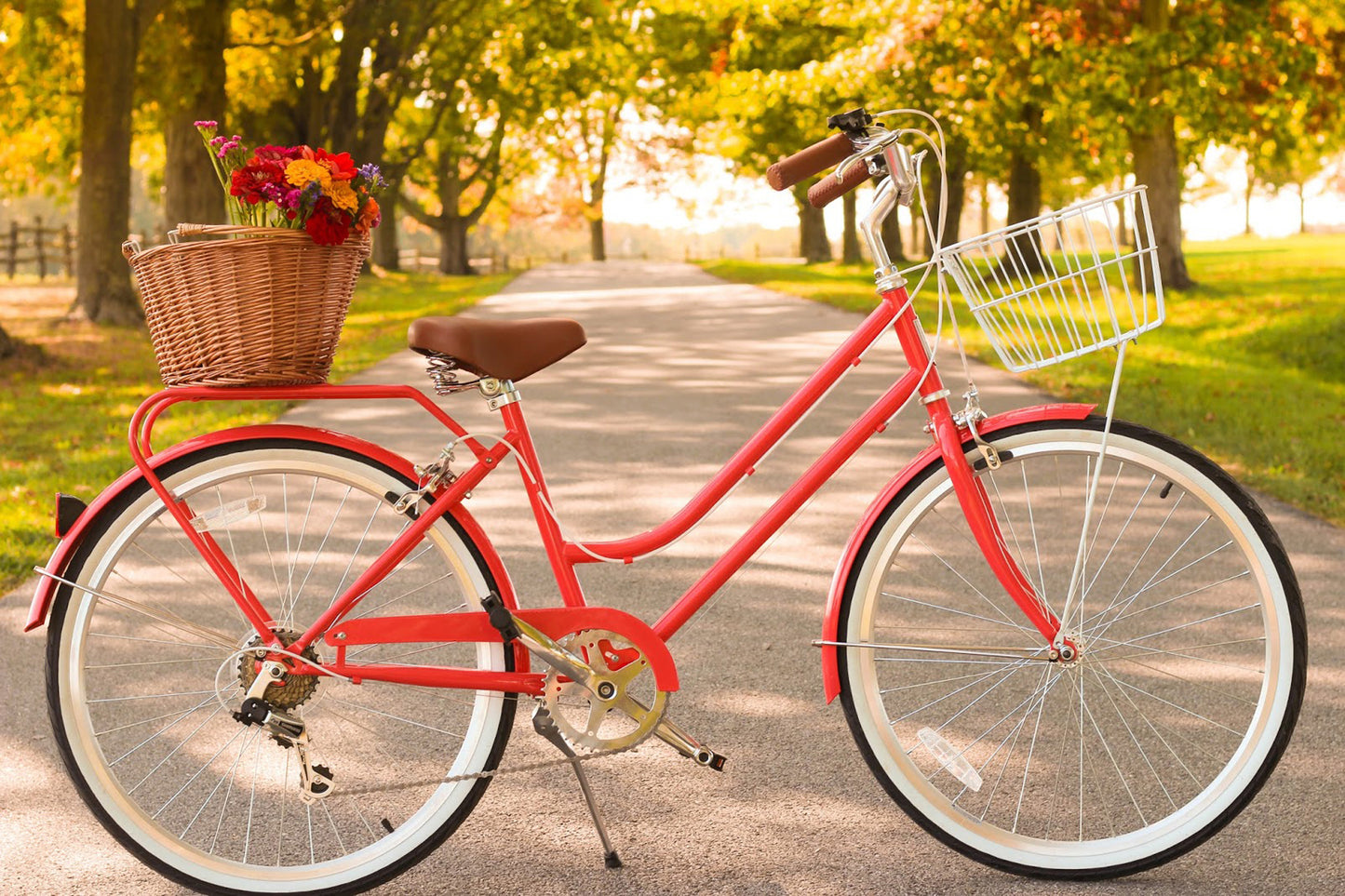 Ladies Classic Plus Vintage Bike Watermelon