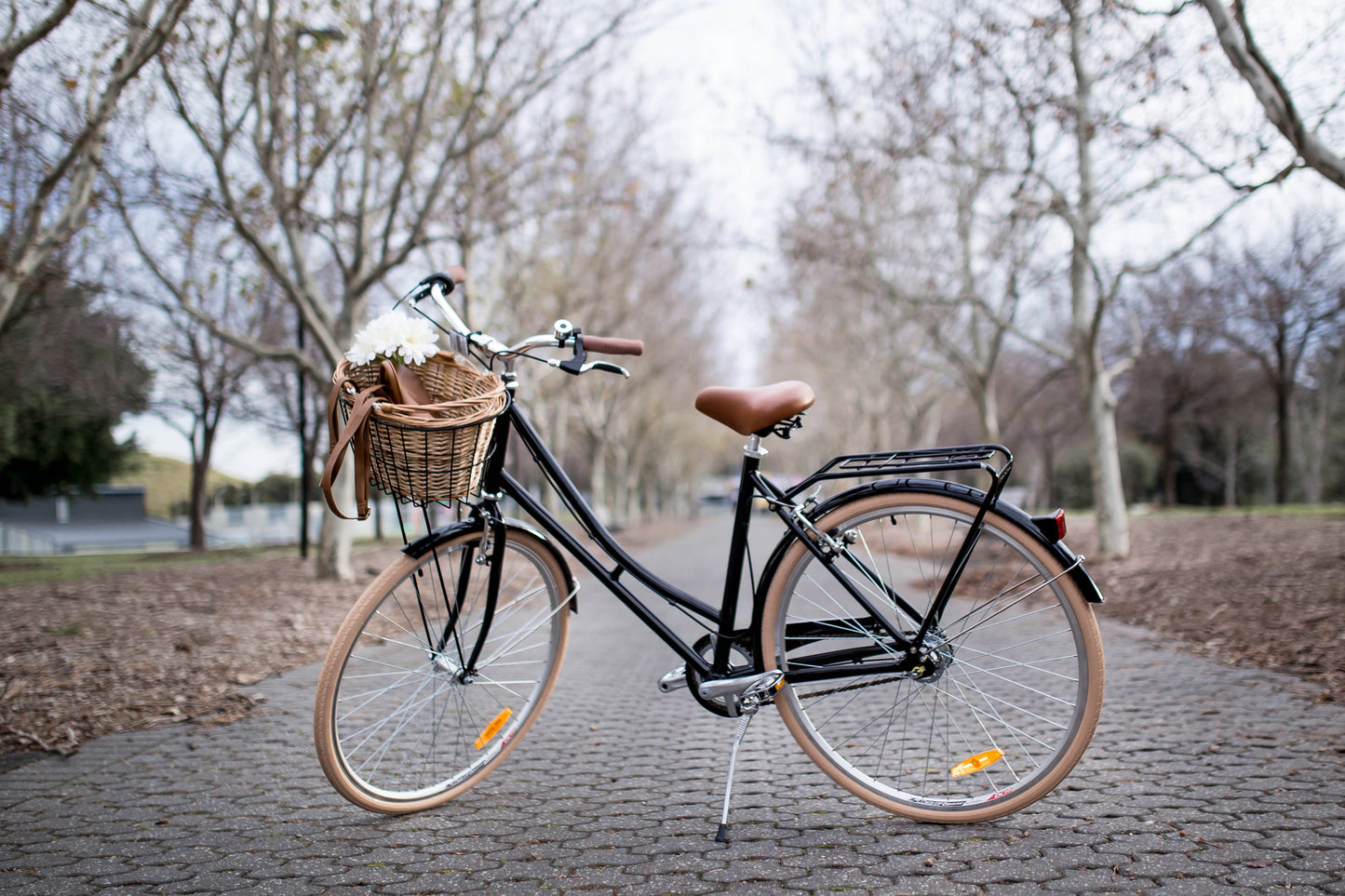 Ladies Deluxe Vintage Bike Black