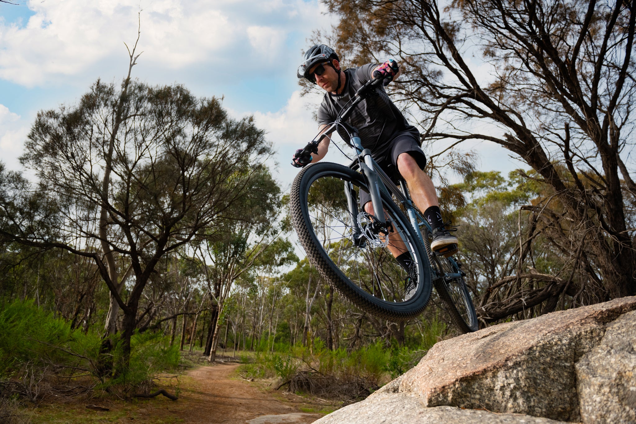 Mountain Bikes Australia | Buy MTBs Online | Reid Cycles