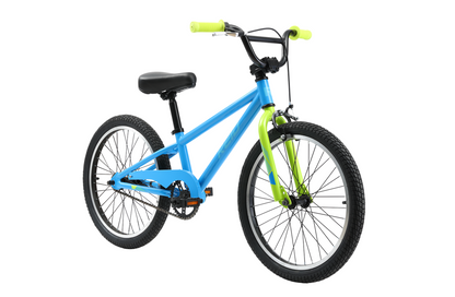 20 bike with coaster brakes clearance