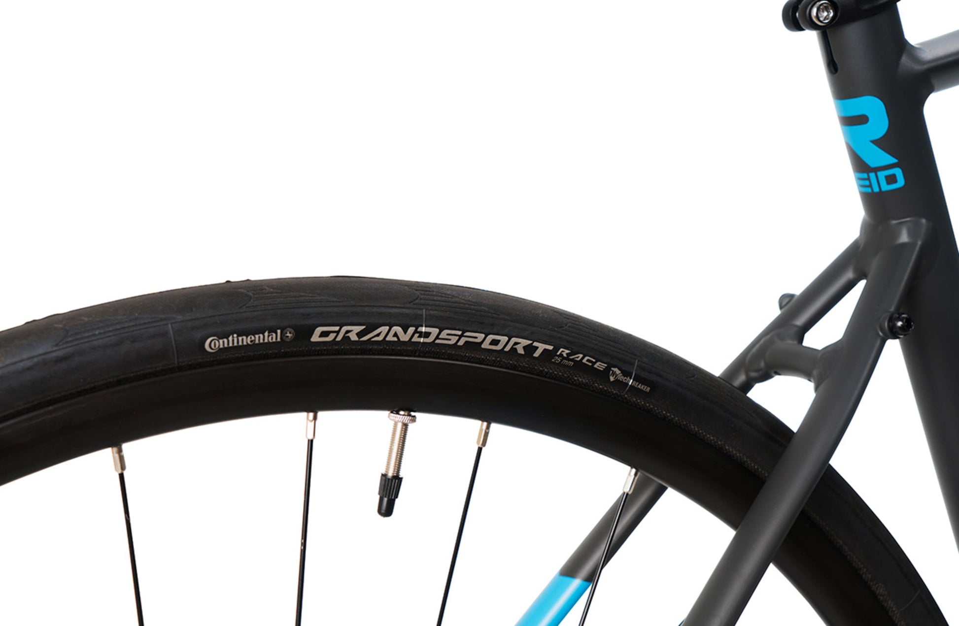 Vantage Endurance 2.0 Road Bike in Matte Black showing rear Continental road tyre from Reid Cycles Australia